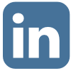 Village Settlements LinkedIn social icon